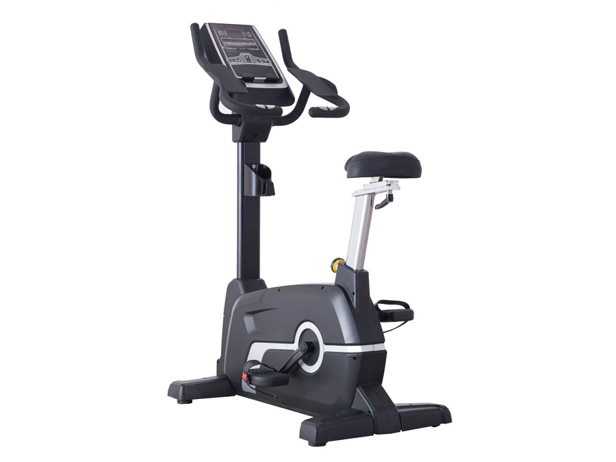 BDW-1018 Commercial Upright Bike